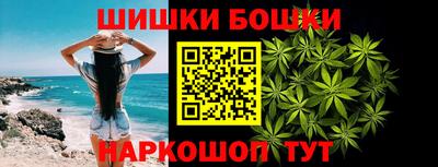 гидра Рязань