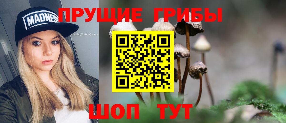 Псилоцибиновые грибы Psilocybe  Вход с VPN  даркнет сайт  Октябрьский 